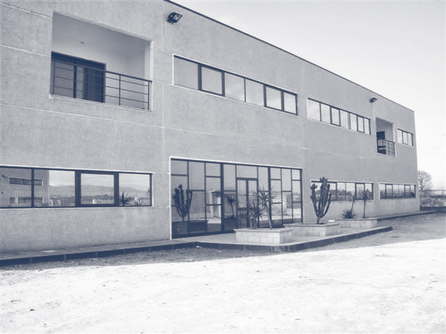 Azienda